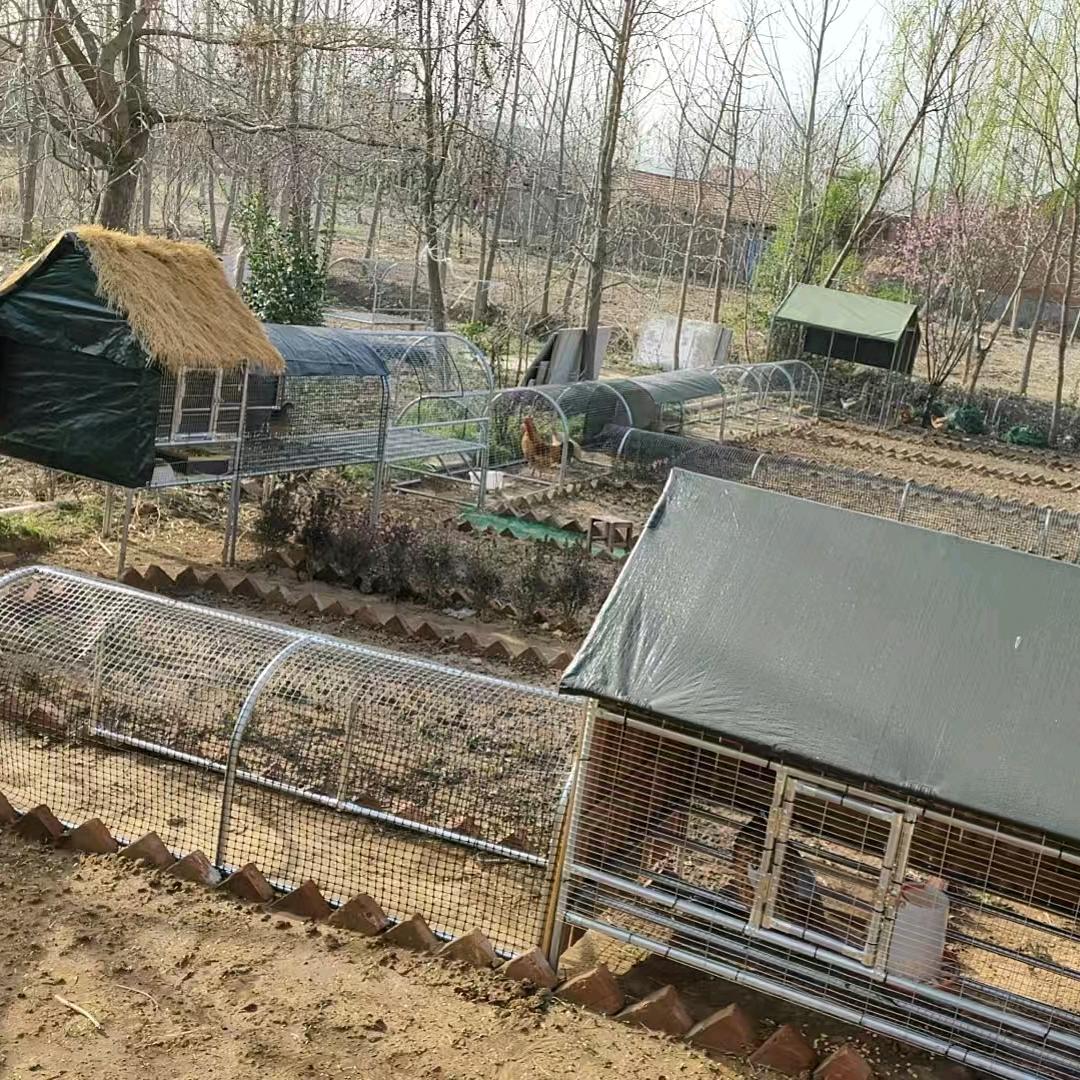 樊樊家跑地鸡笼