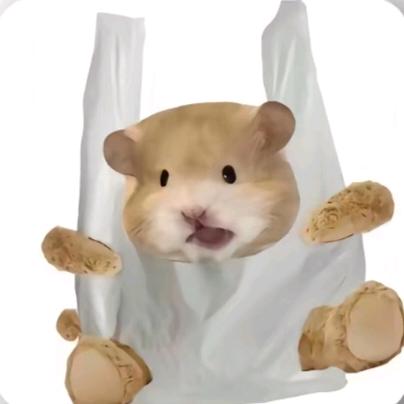 芒果忙过（大学生起号版）