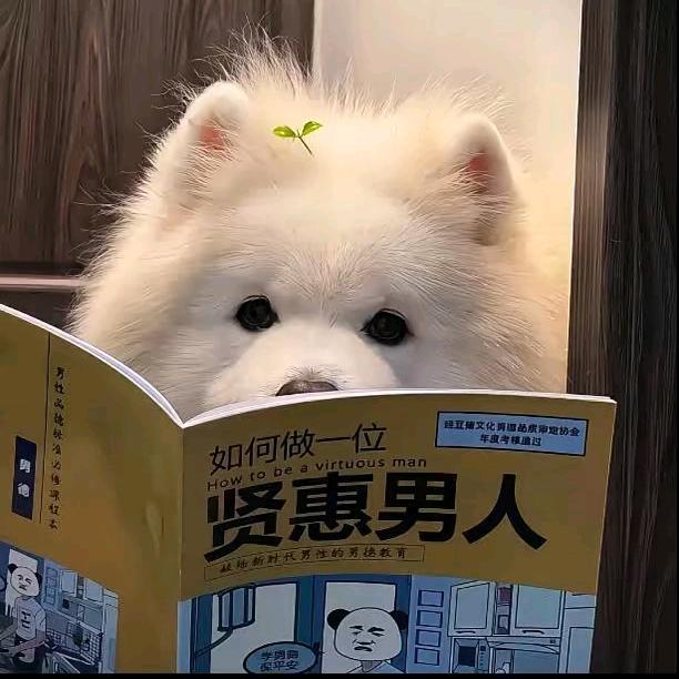 讨厌起名