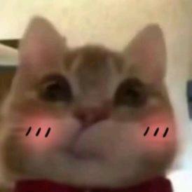 jjcc
