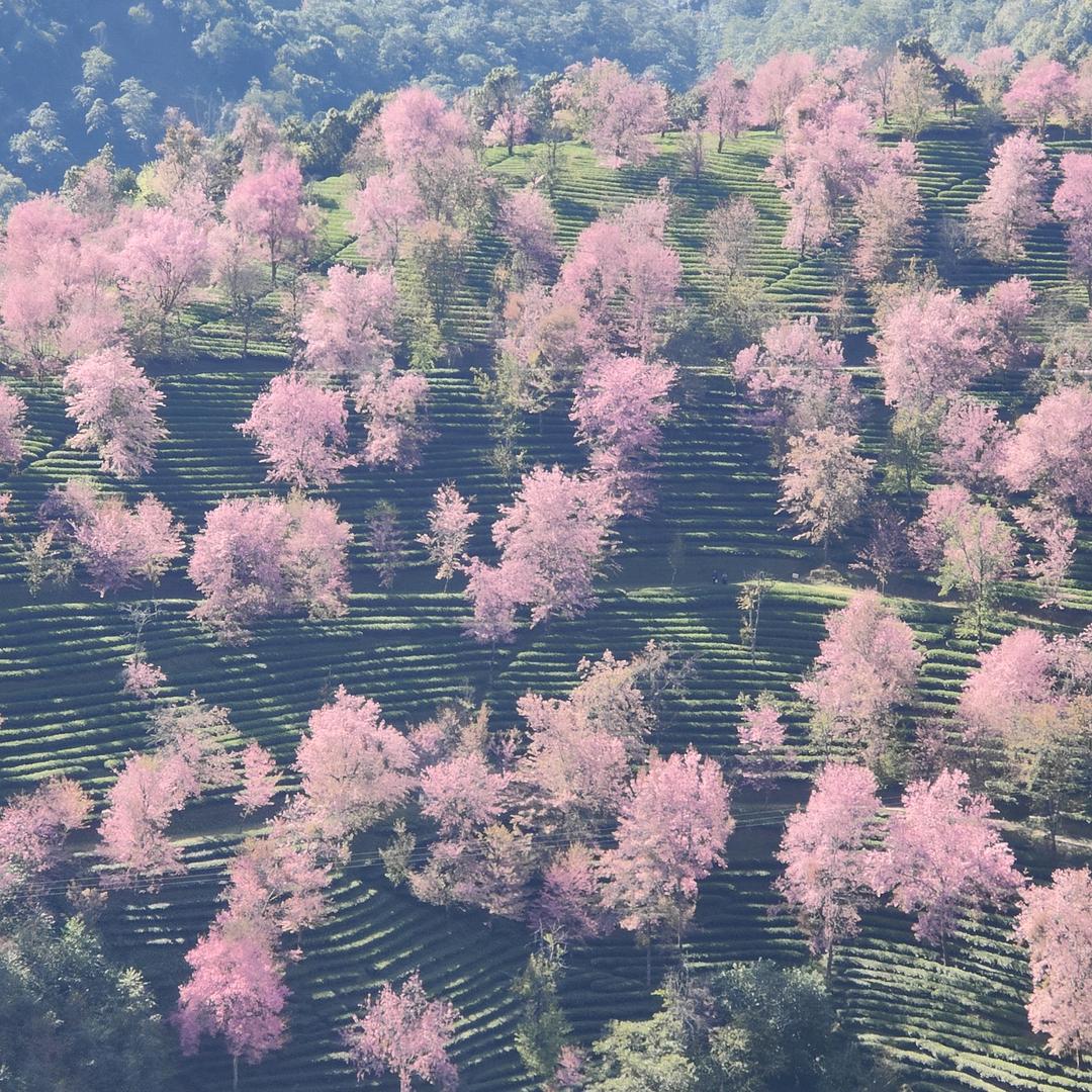 用户31817557