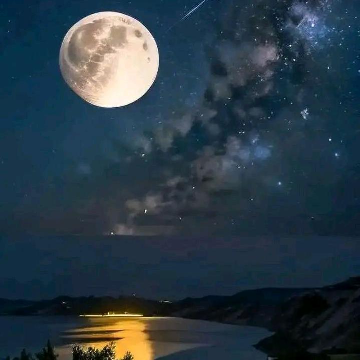 ღ᭄挽星、