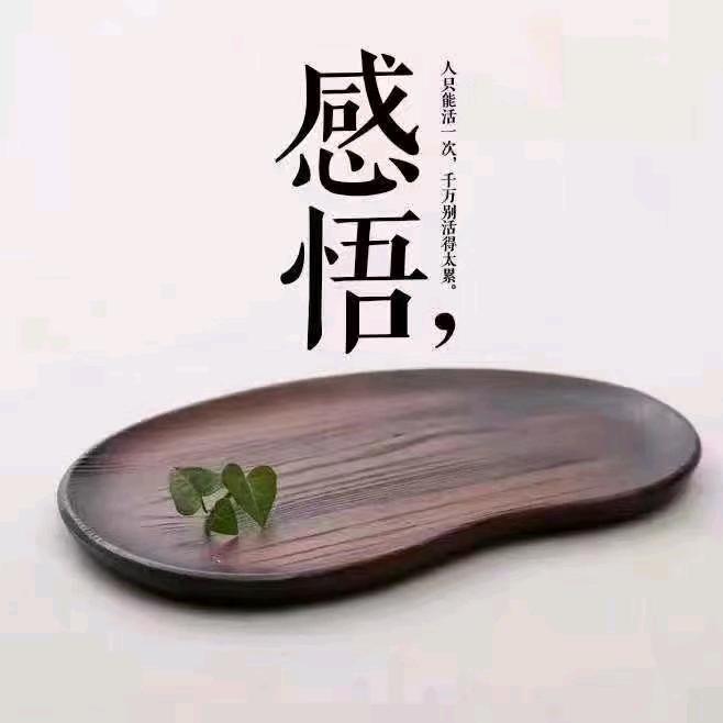 紫旭星⭐