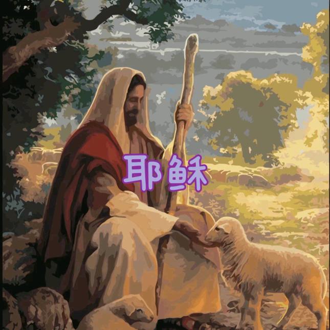 72岁老奶奶直播号