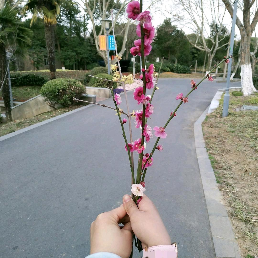 雨落倾城
