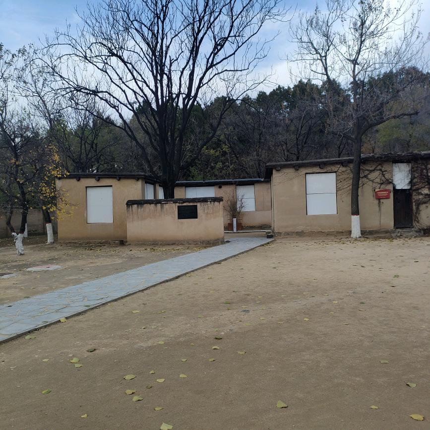 赵县戴维梨果专业种植合作社