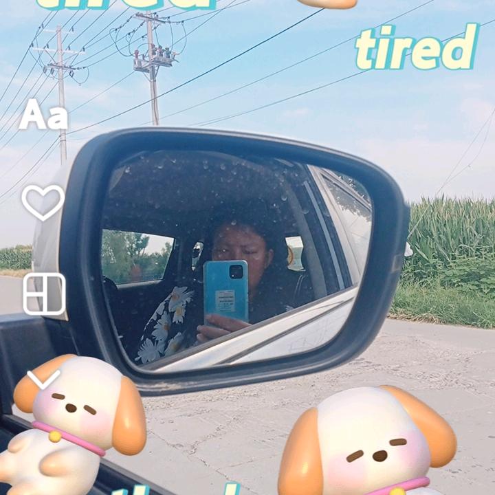 美好的一天