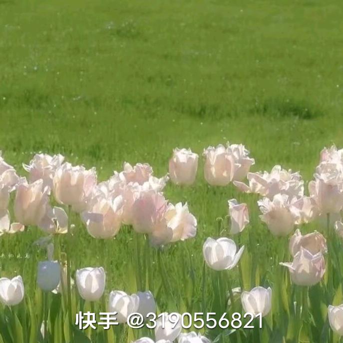 幸福