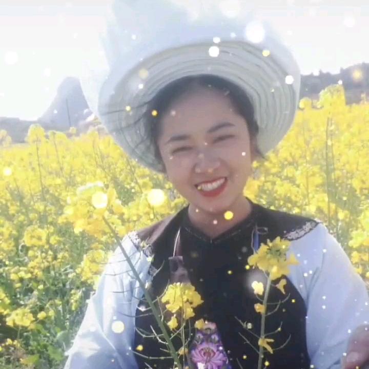 ｡✧* ꧁幸运草꧂✧*｡