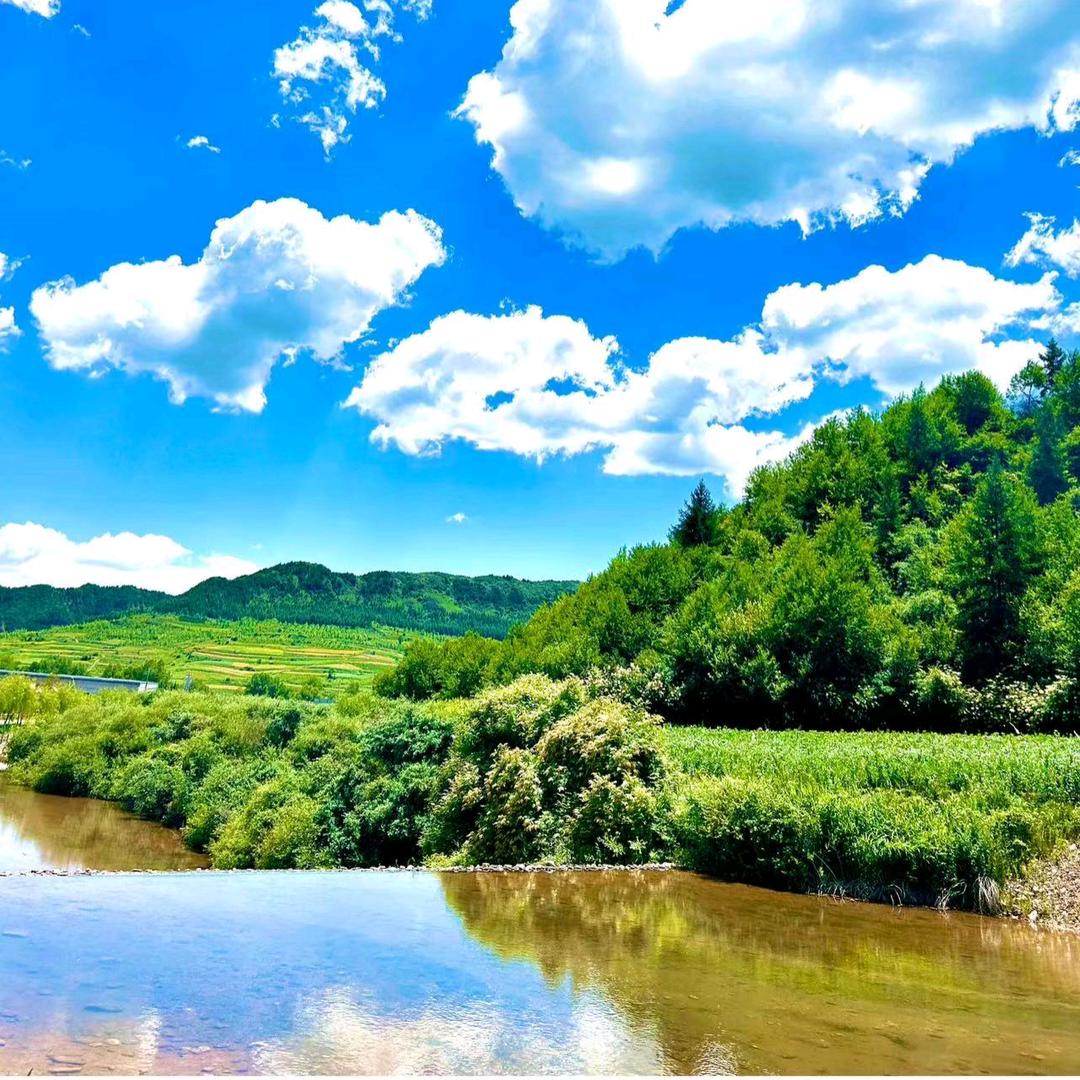 老张养殖技术服务部