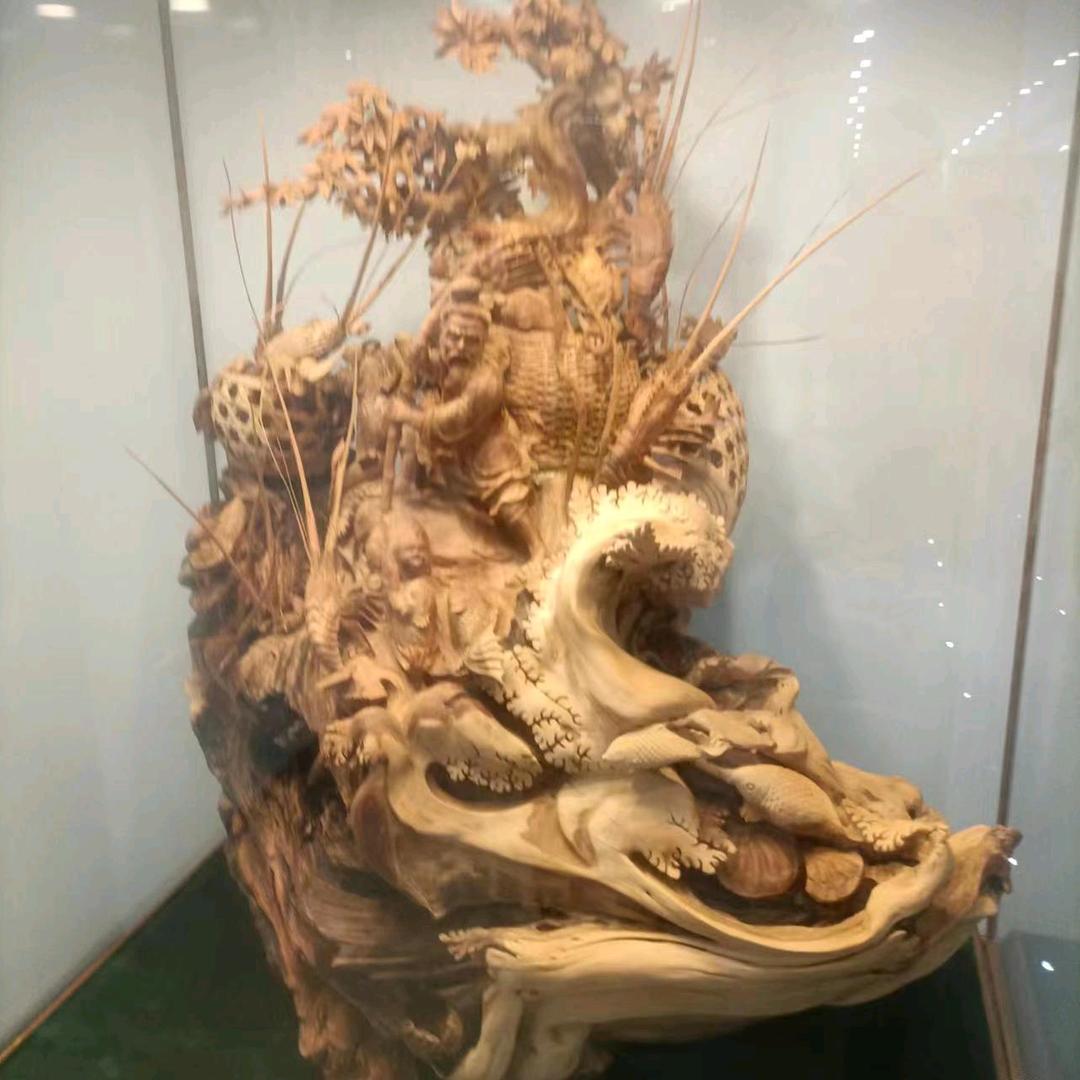 漂泊的人√猫