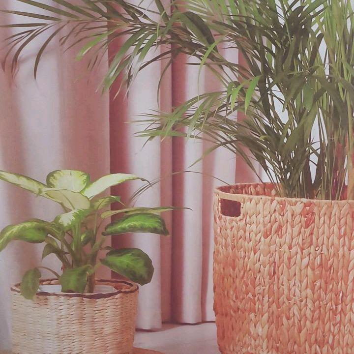 佳荣