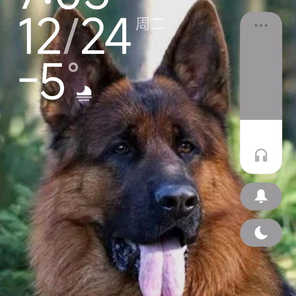 德牧玩家