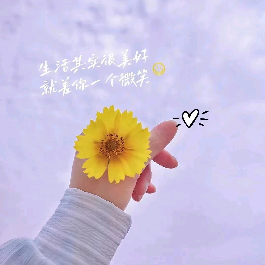 开心果