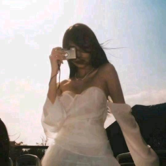 折枝