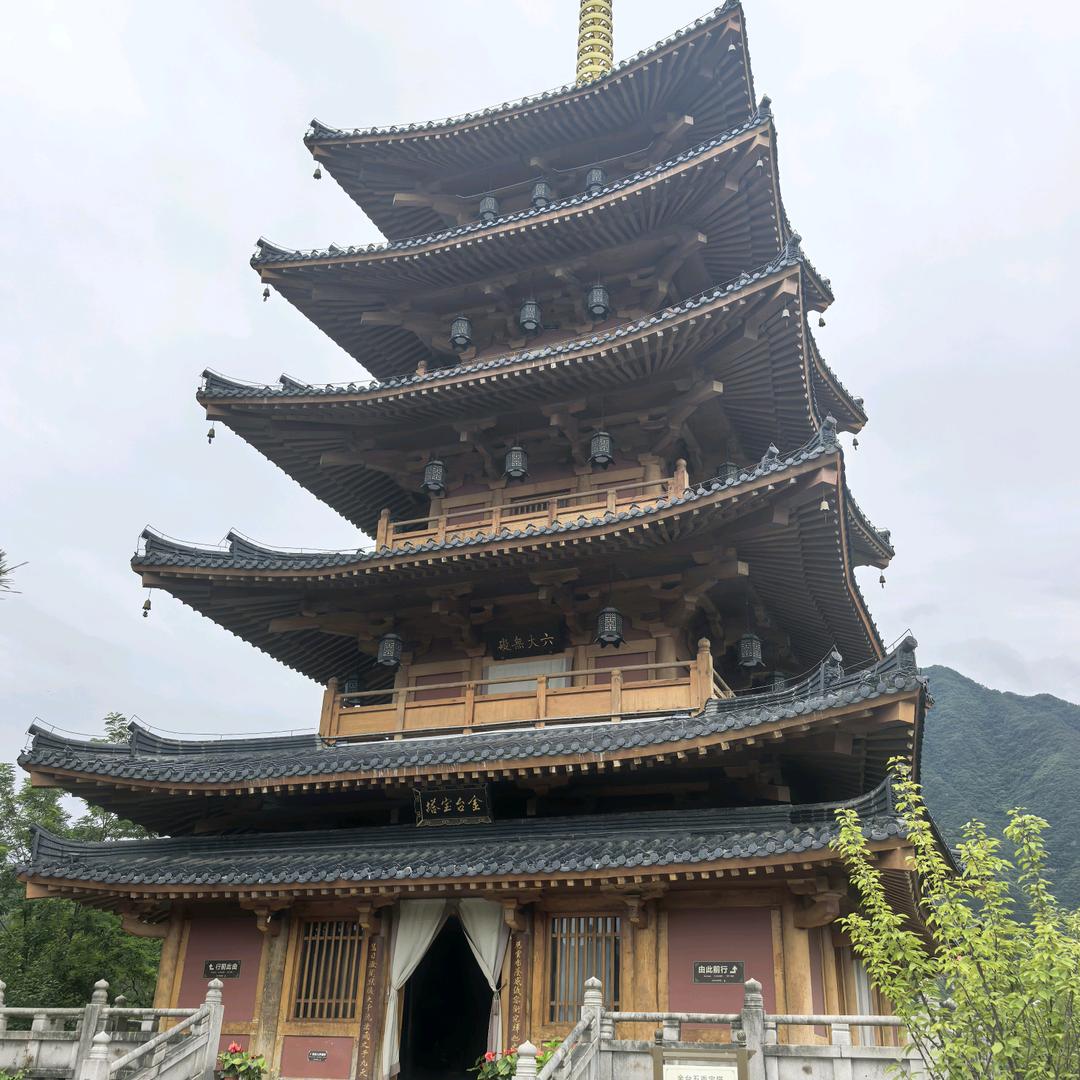 人生自渡