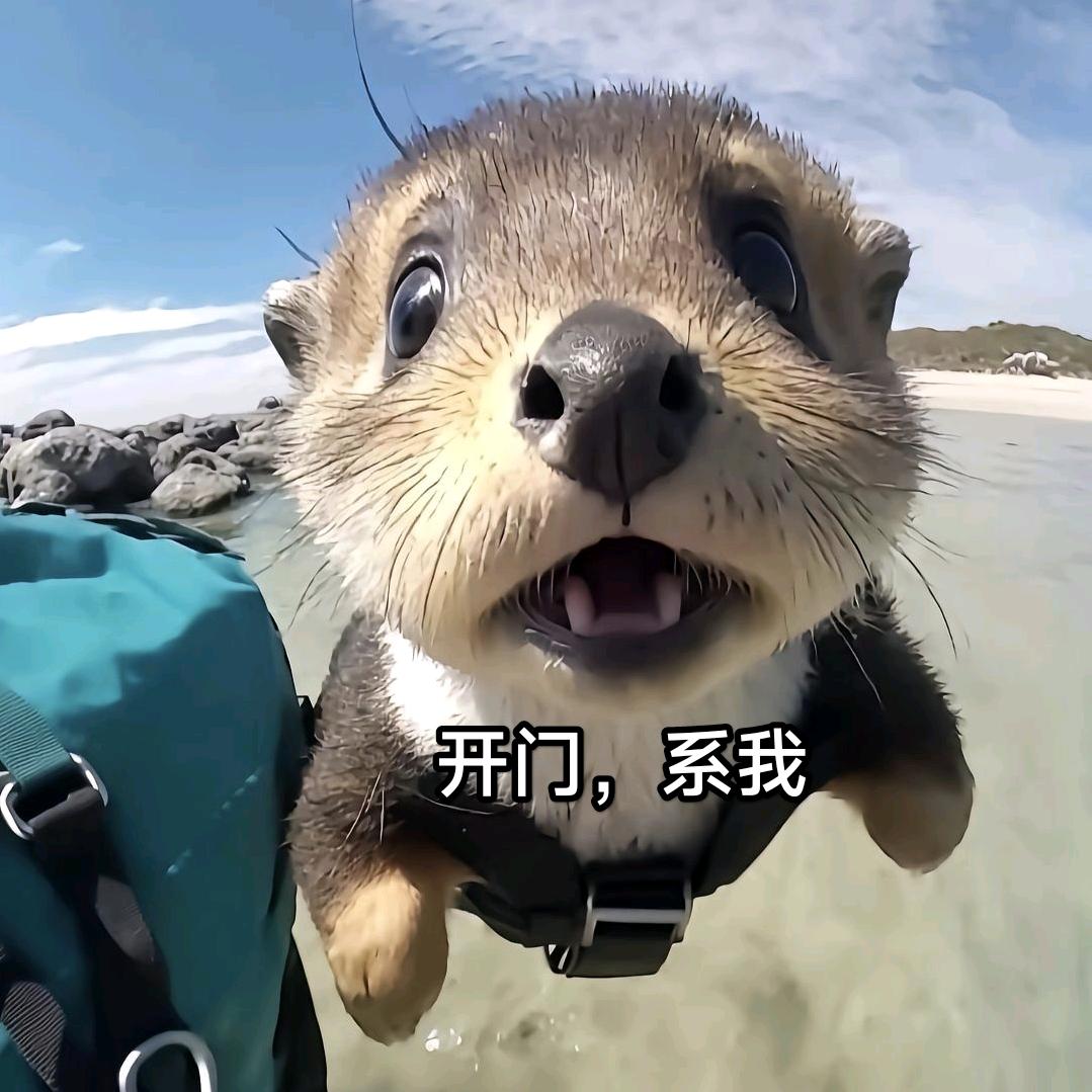 小姚哥哥💤