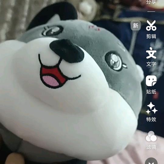 小古板