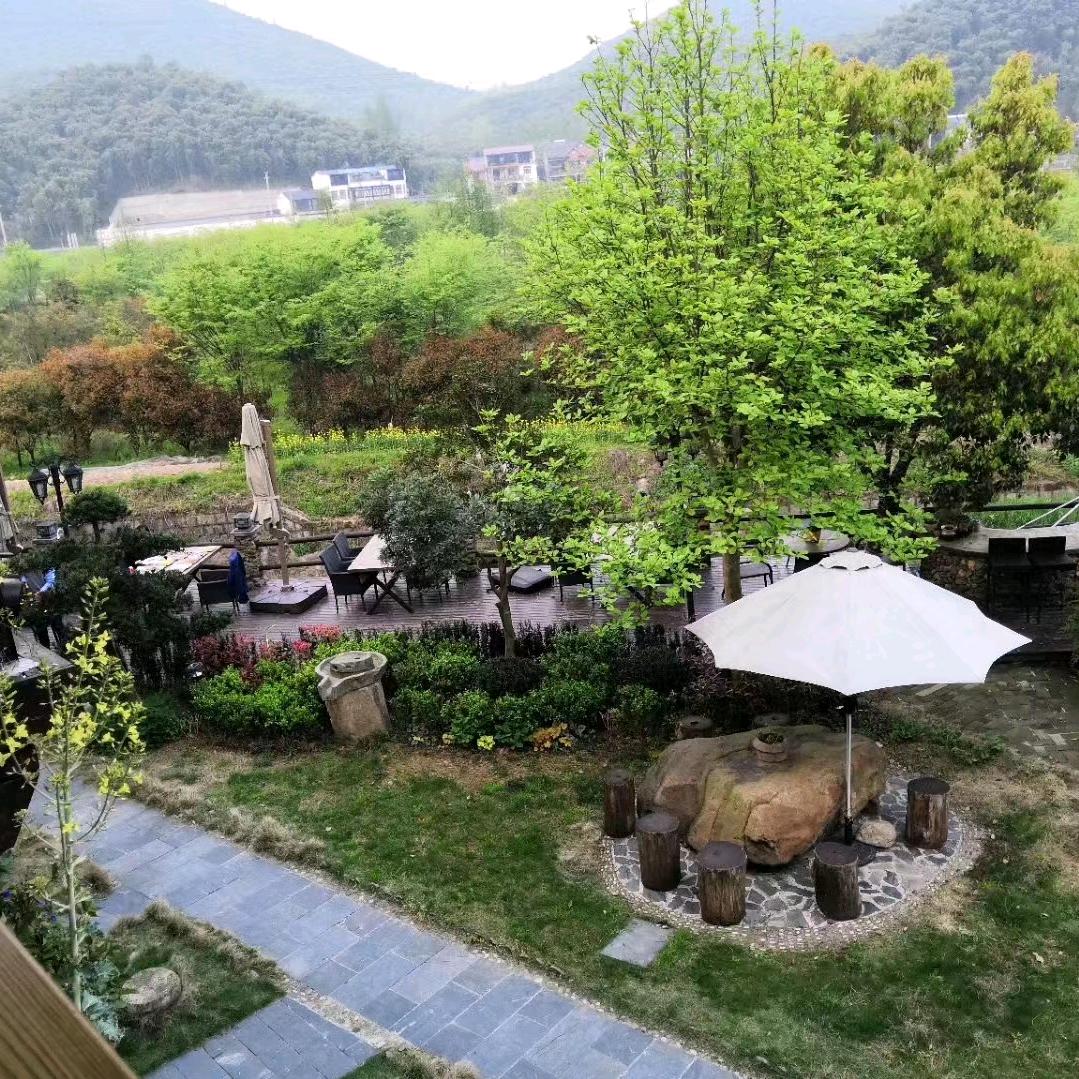 @猪猪🐷解压直播