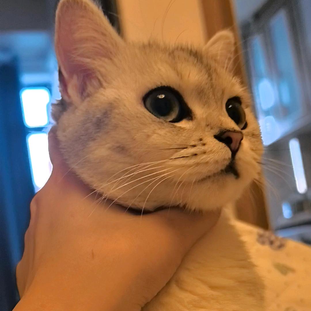 我是lucky喵