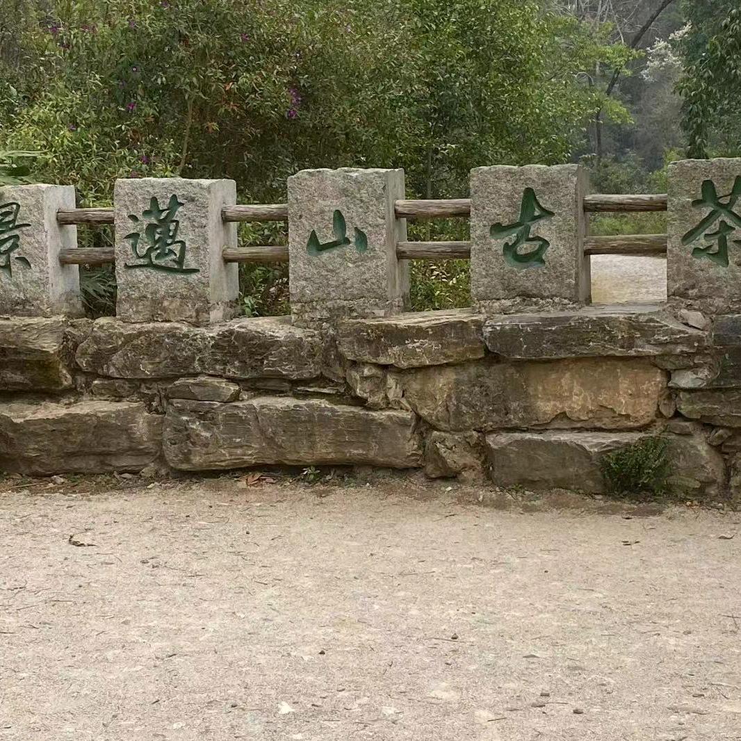 良铭茶叶优选