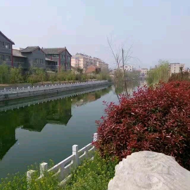 🌹🌹赵姐🌹🌹🌹