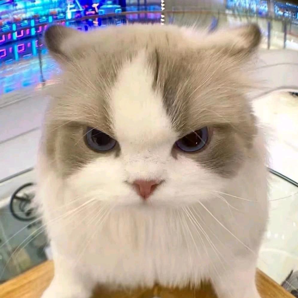 拔剑四顾心茫然