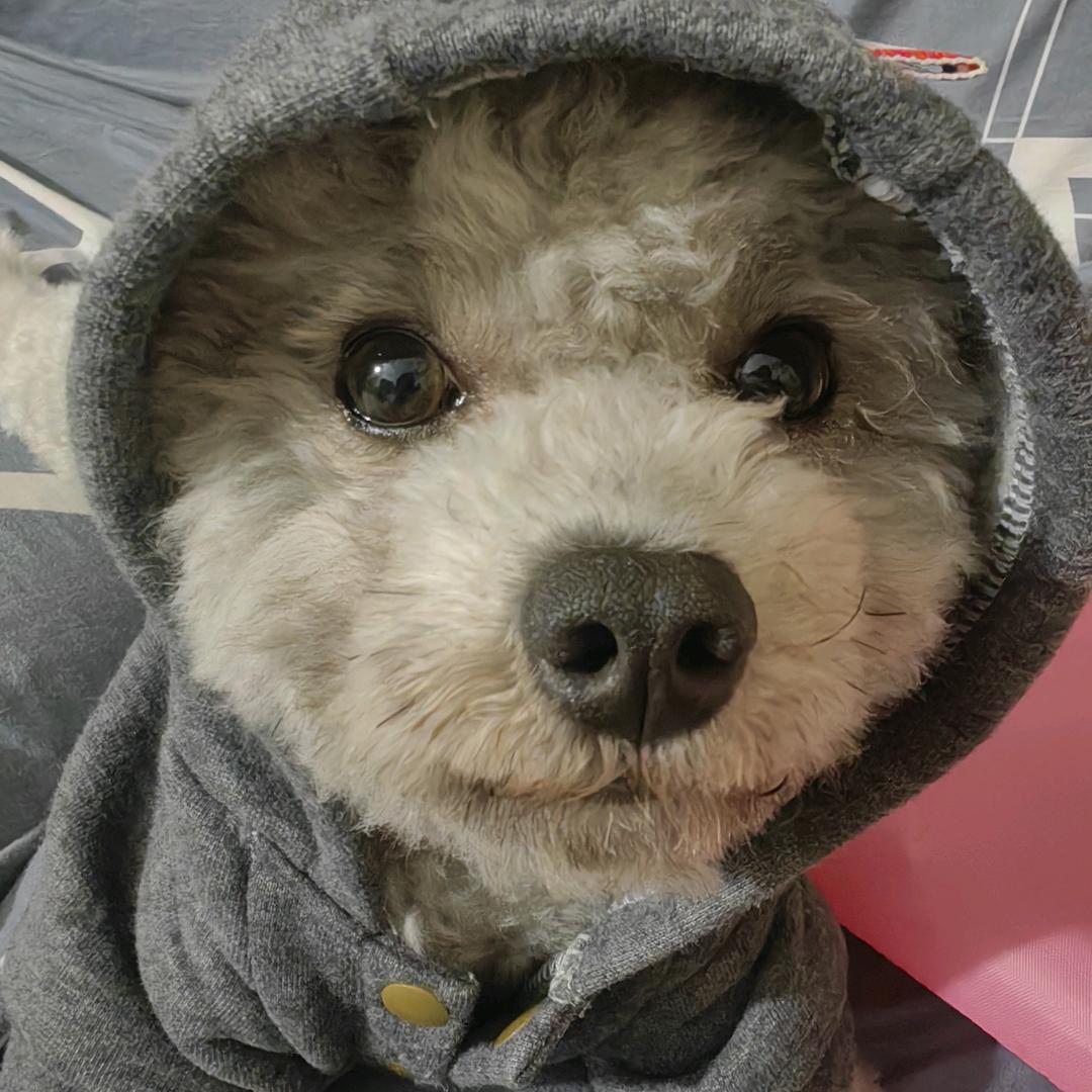周大仁