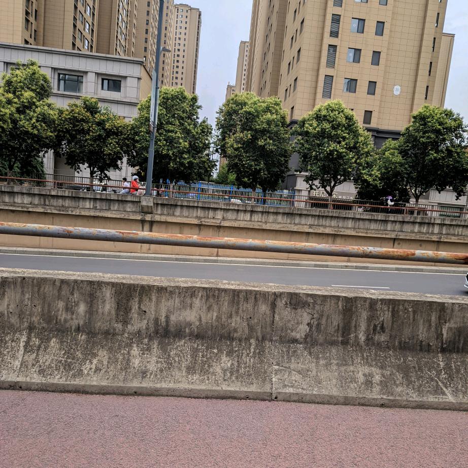 南风知我意