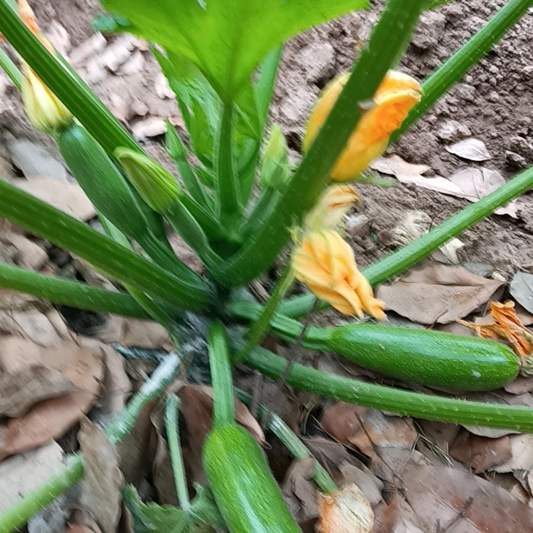 用户4743907131513钢嘣儿