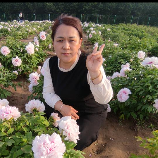 娴娴