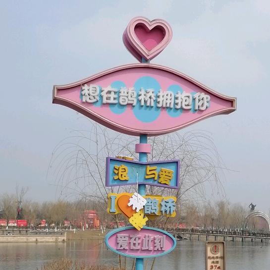 羊羊羊