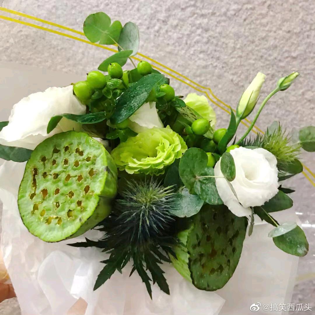 鄂尔多斯领克~王卡门
