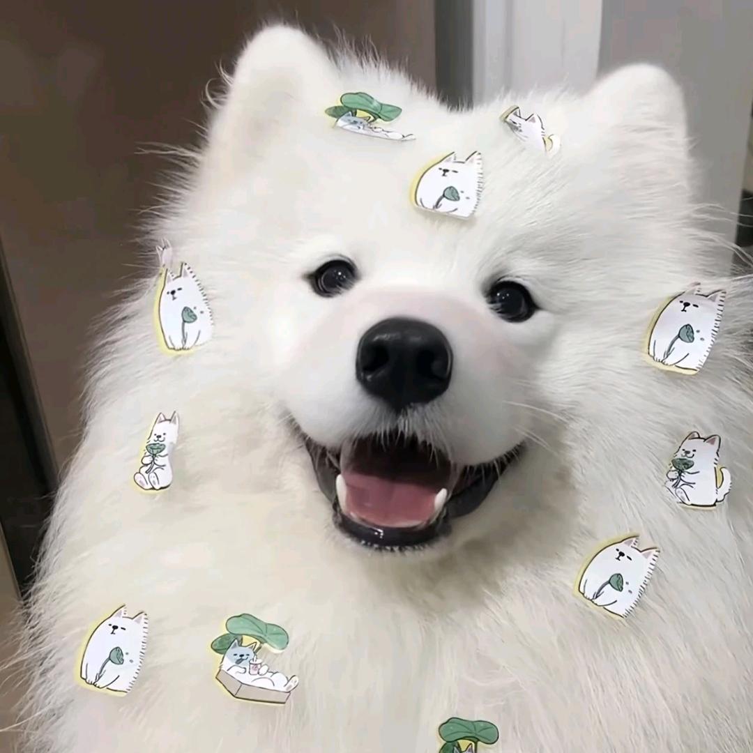 则安