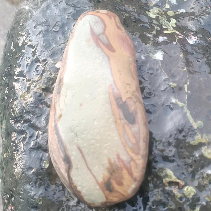 豫鹰昆澧