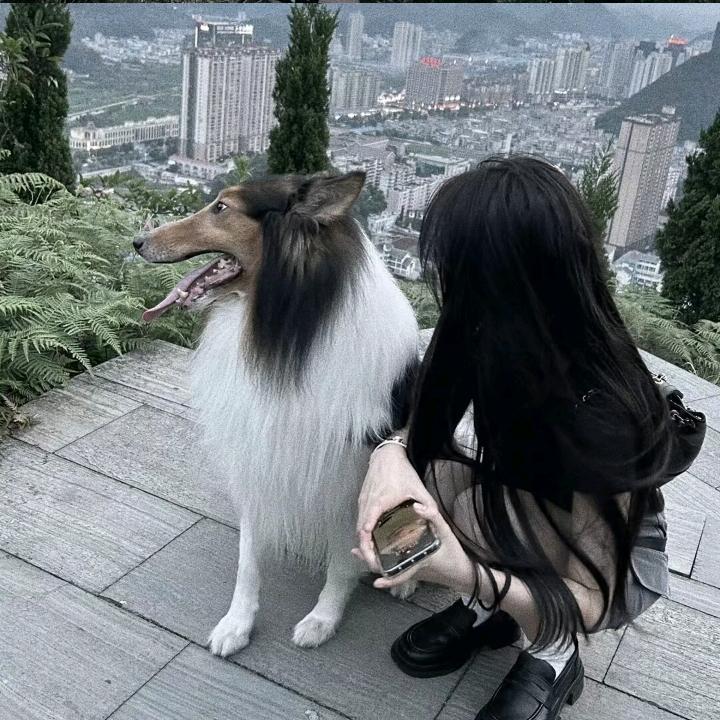 -----