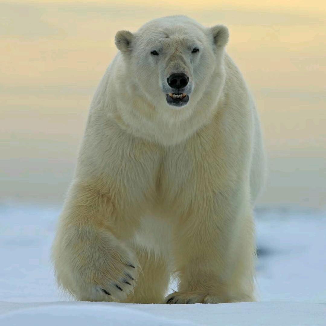 ₯㎕ζั͡✾盲流子♚