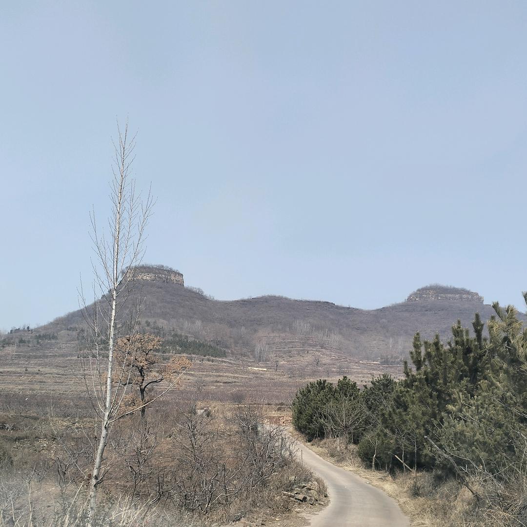 跑山