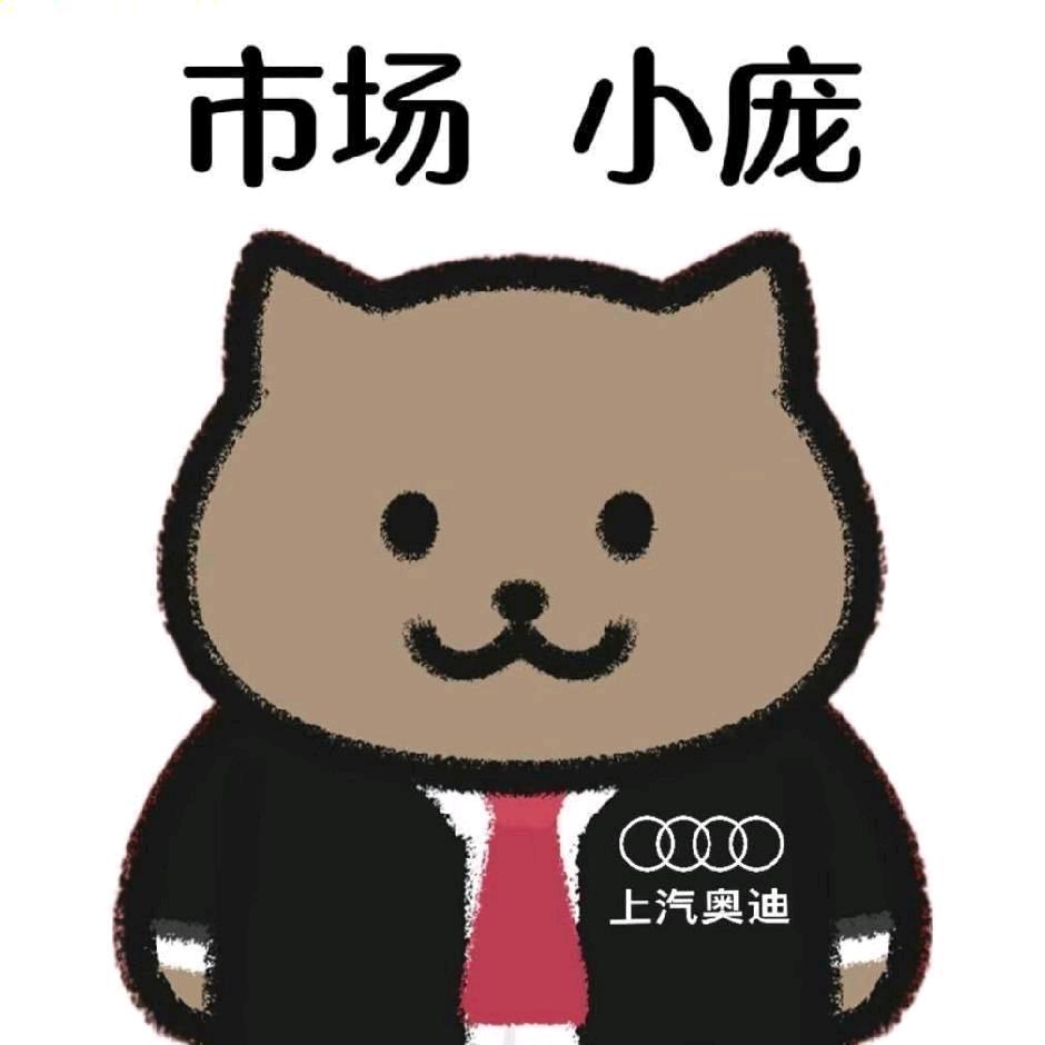 奥迪市场庞小胖