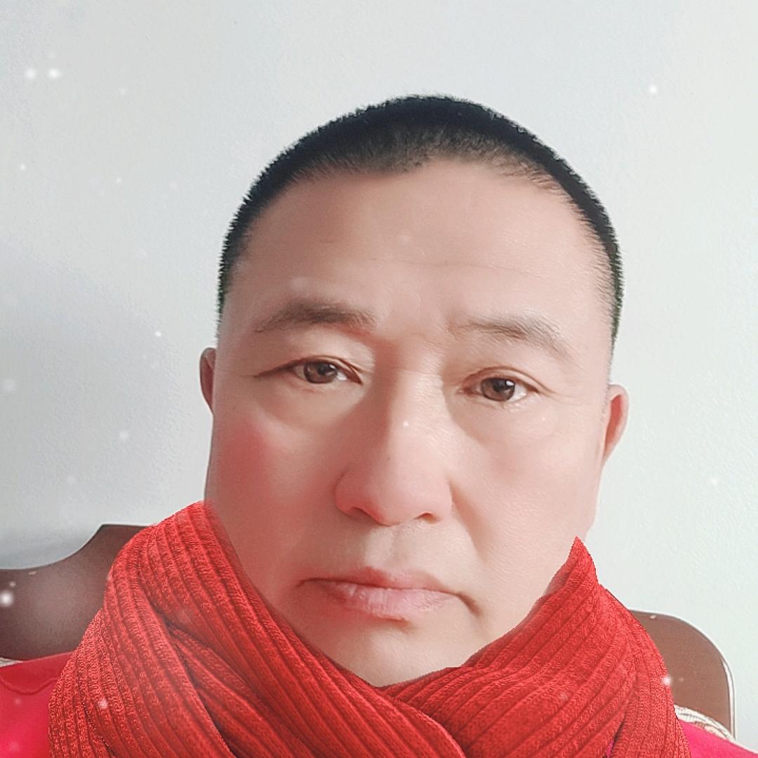 水稻无盘育秧