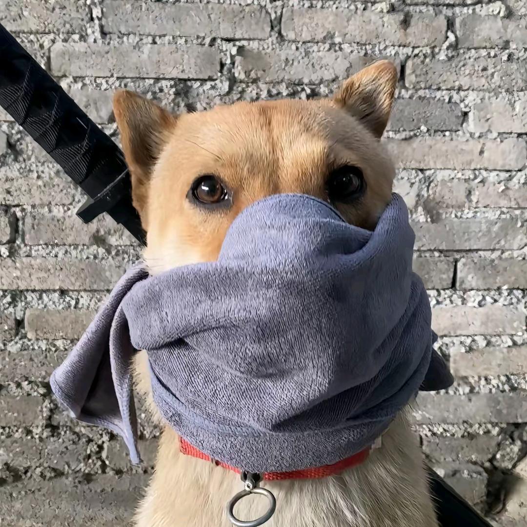 AAA电脑专业维修