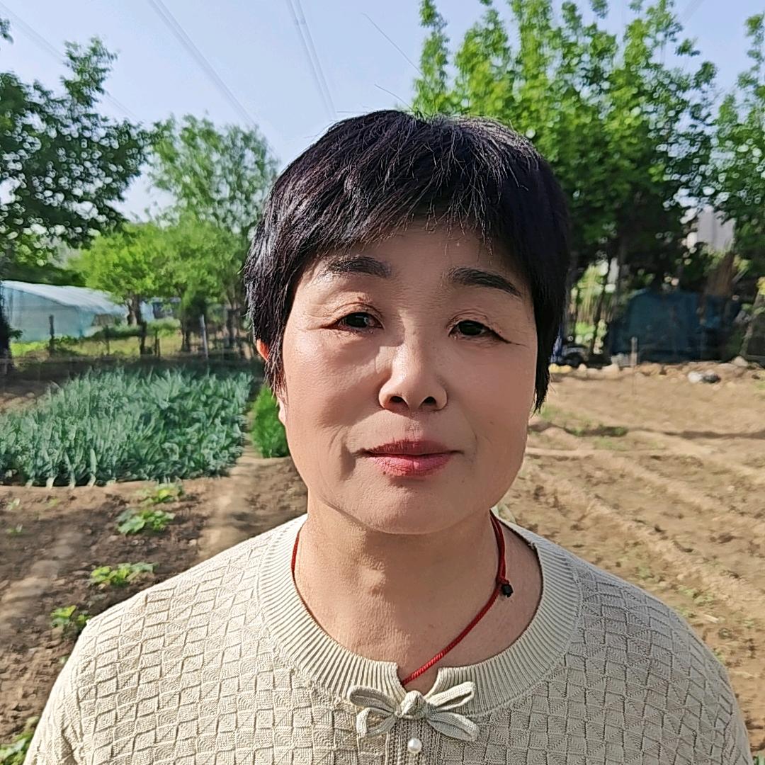 风姐（5点一7点）