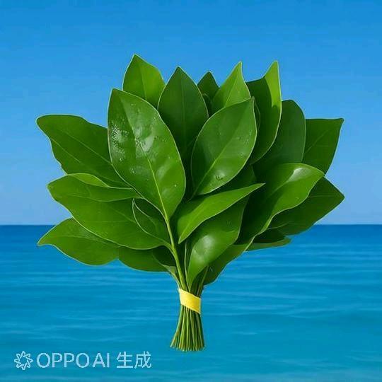 庸淮