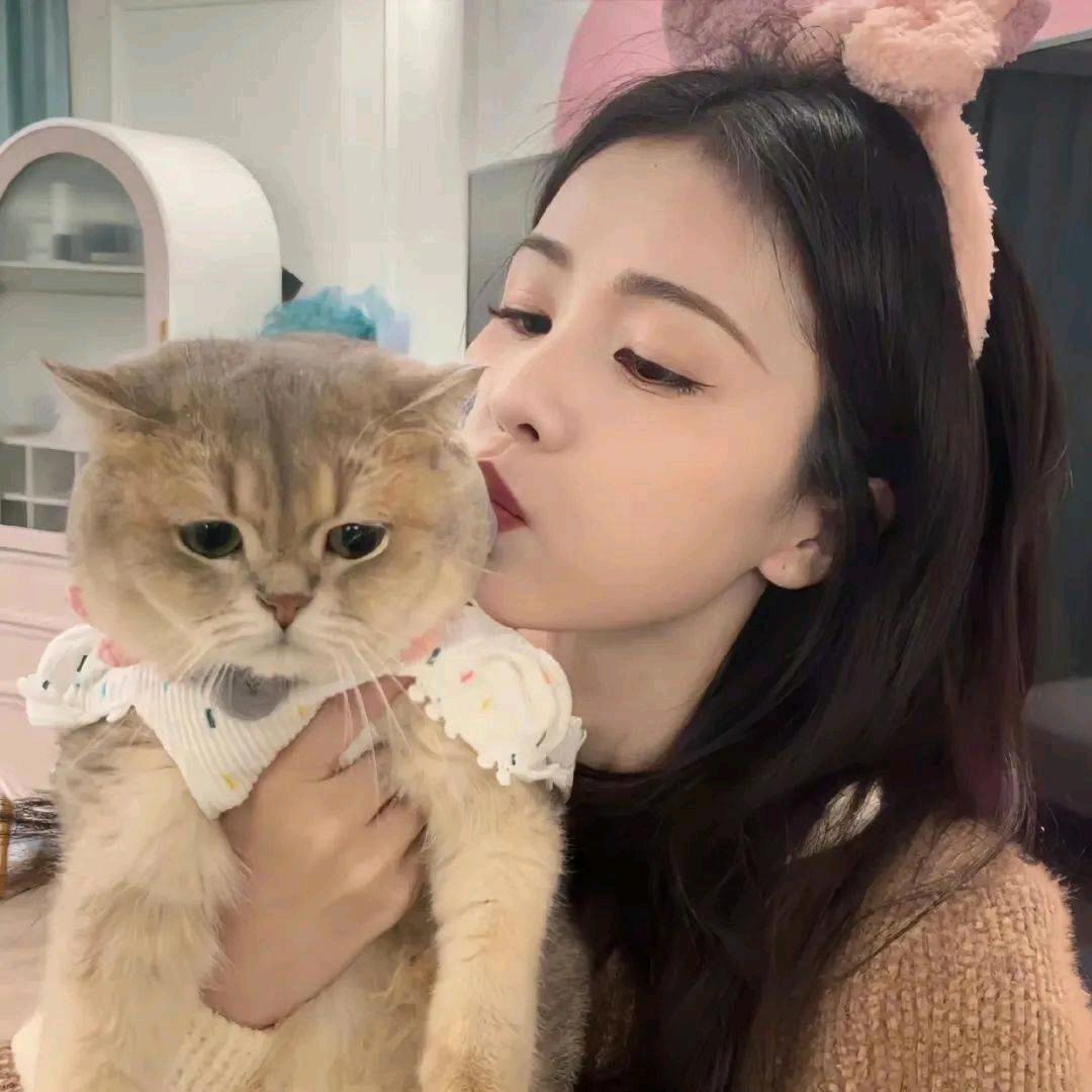 月亮岛没有太阳