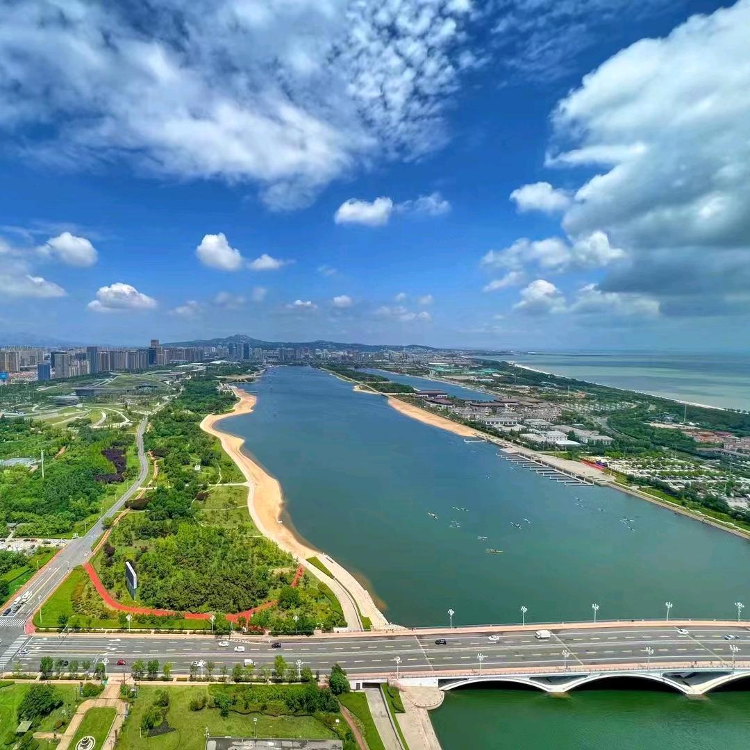 日照绿茶尧茗春