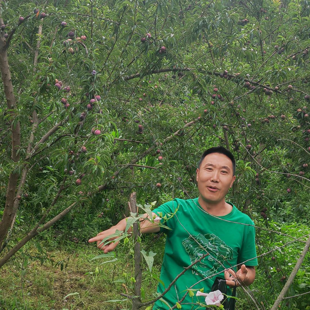 干巴老者，((父女团9920))