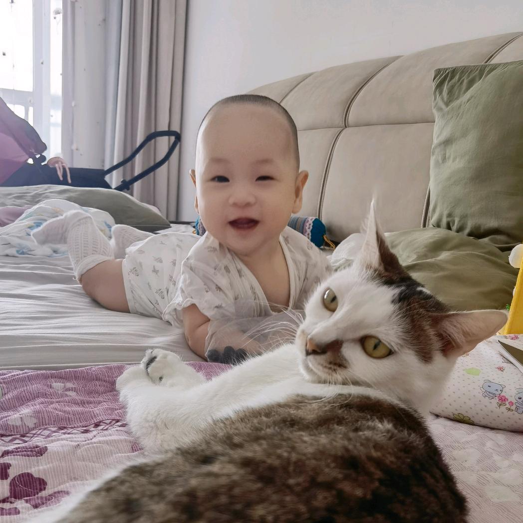 是呦呦呀！