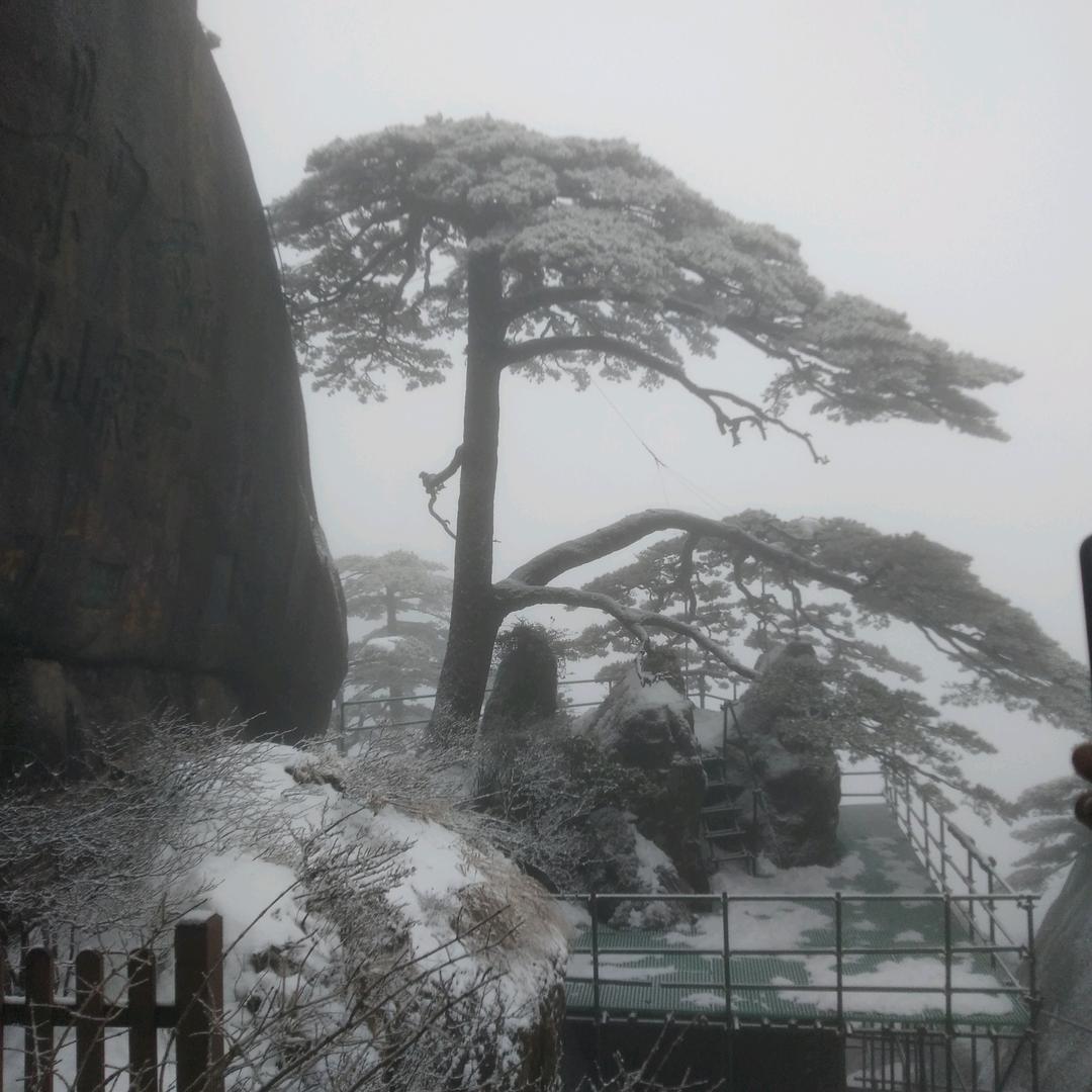 嵘峥岁月