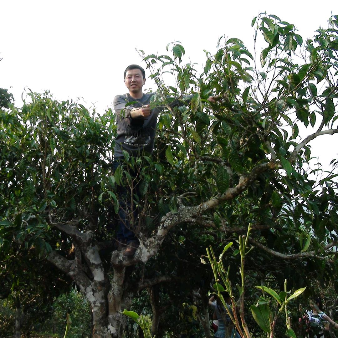 长沙紫瑞祥茶叶茶具