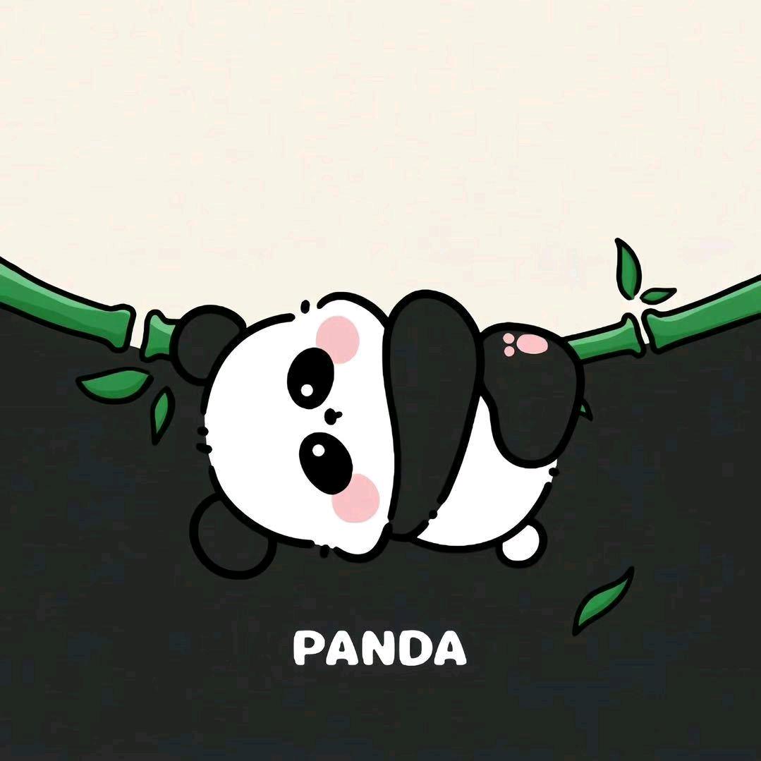 飞飞给我力量
